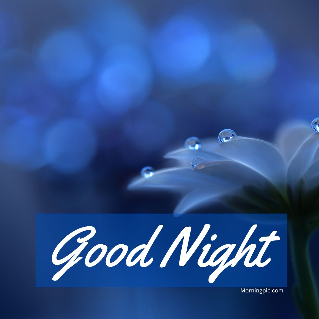 Beautiful Good night Images