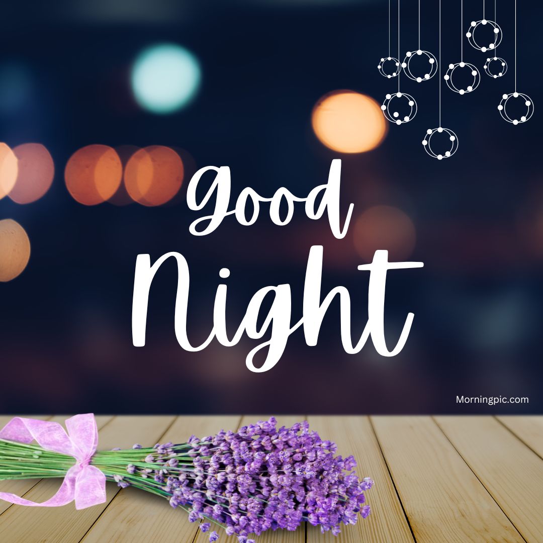 Beautiful Good night Images