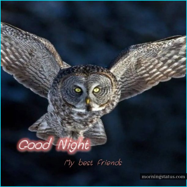 Good Night Friends HD Images