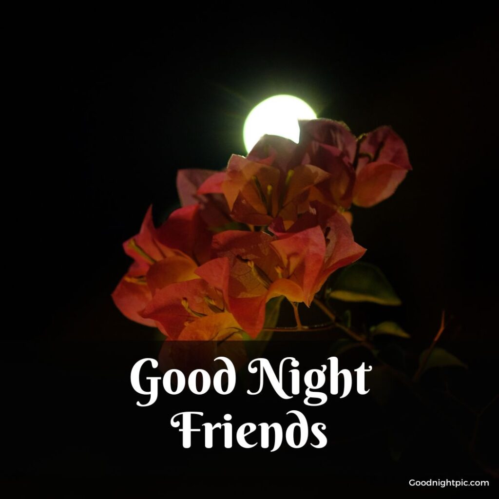 friend sweet good night images