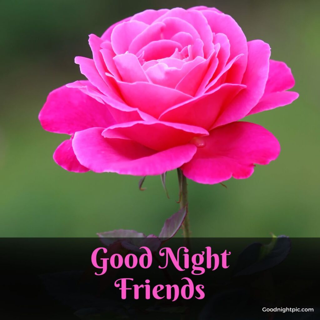 good night friends photo
