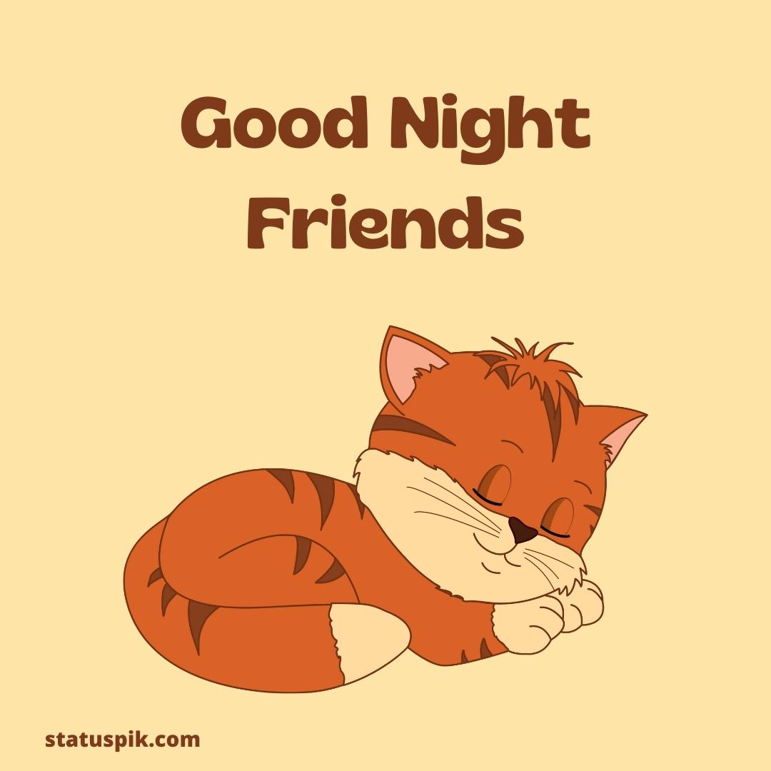 Good Night Friends Images 21