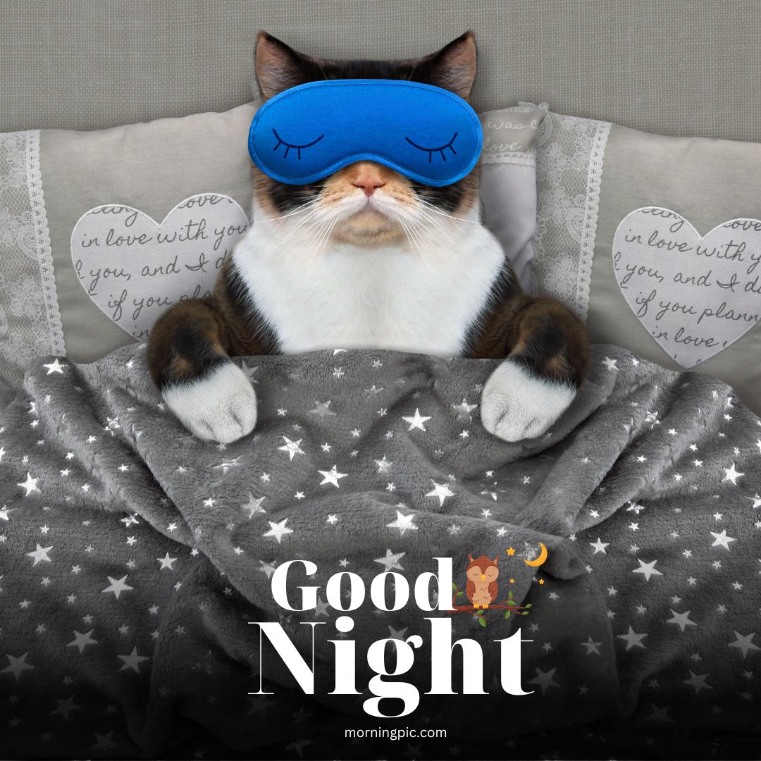 good night images simple