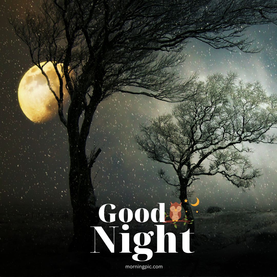 new good night images