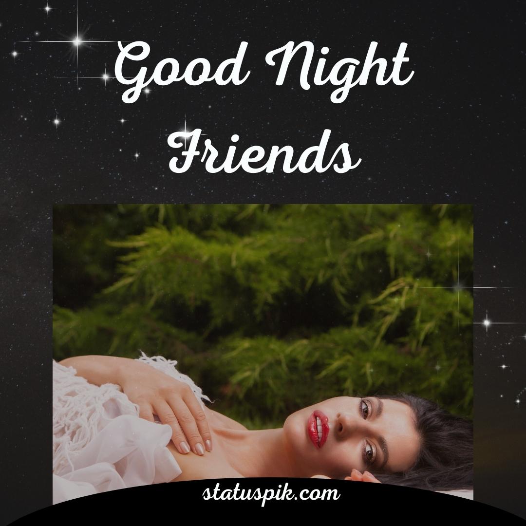 Good Night Friends Images 28