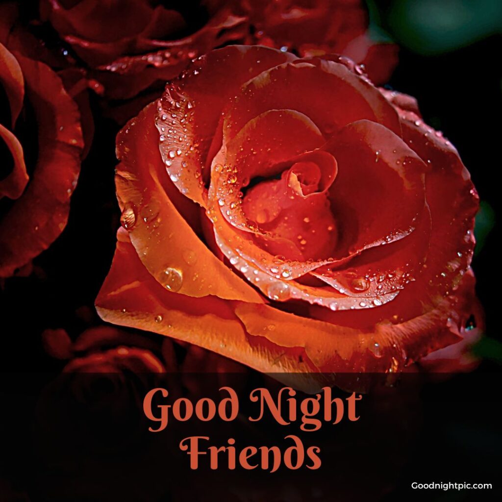 good night friends photo
