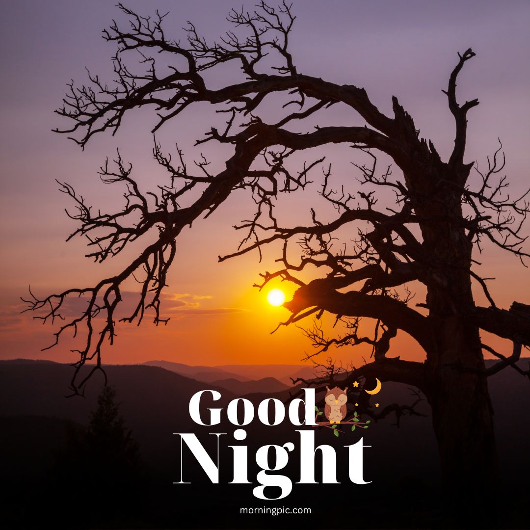 new good night images